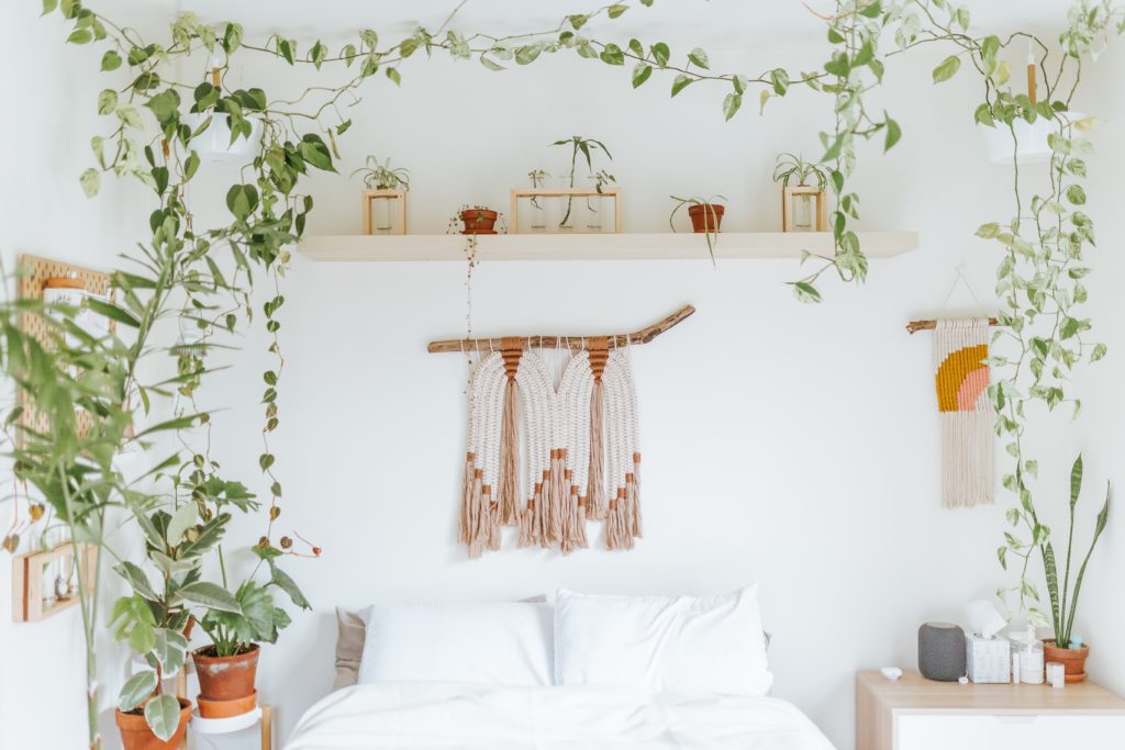 houseplants in boho style bedroom