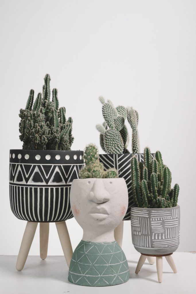 Cactus in fun decorative planters